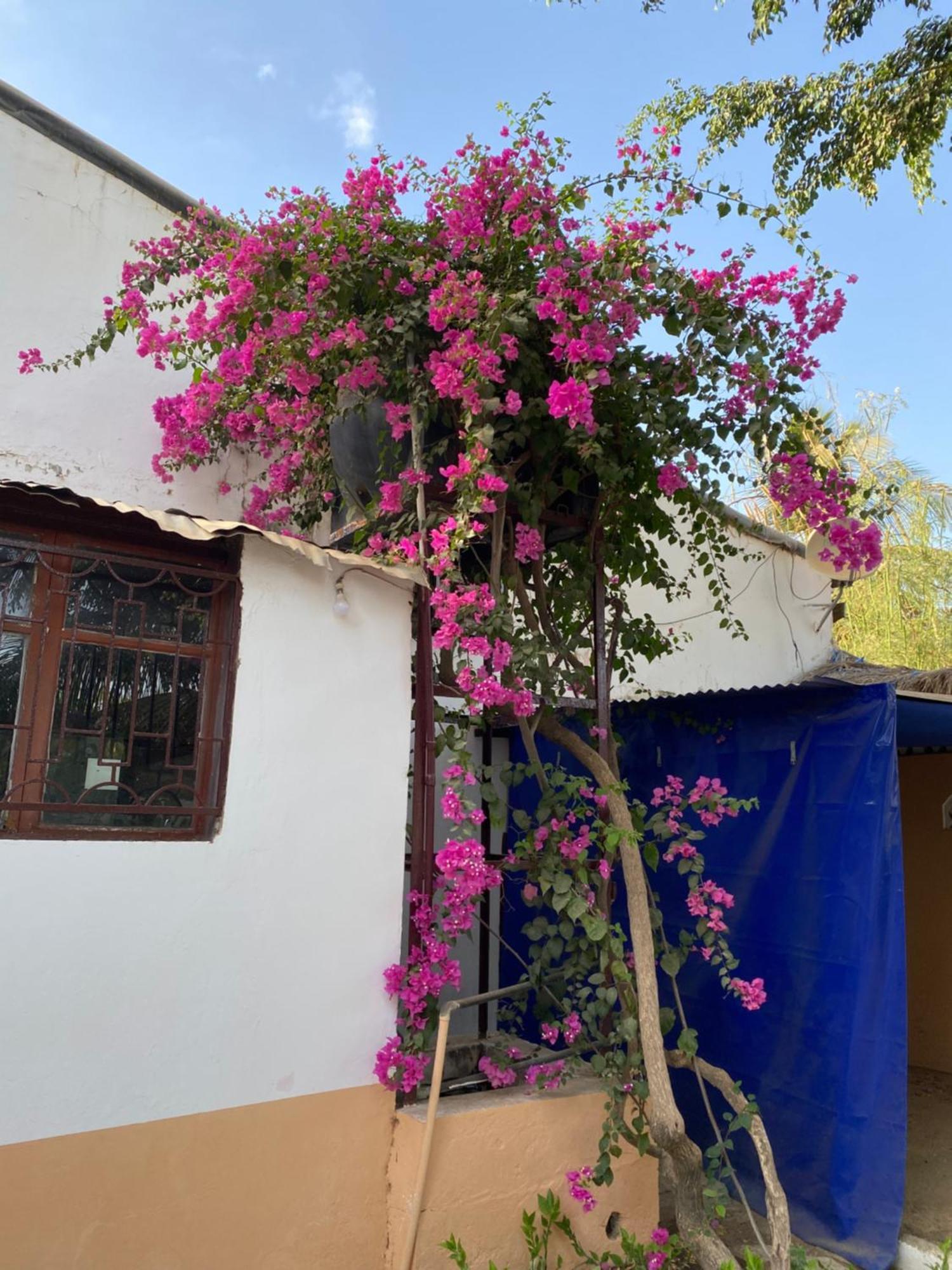 La Case Africaine Saly Portudal Extérieur photo